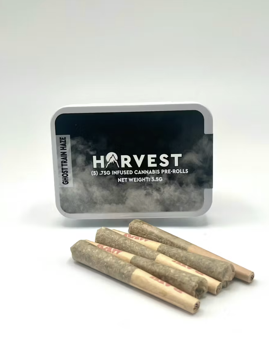 Ghost Train Haze Dogwalker Tin